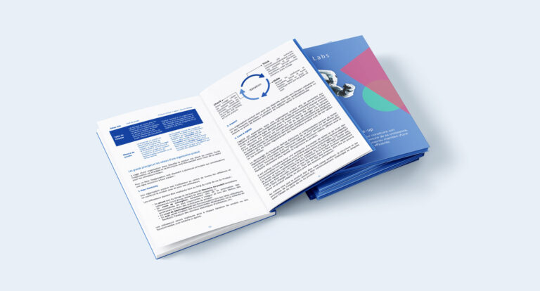 Comment organiser son organisation produit IT ?