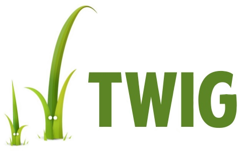 Utilisation de Twig dans nos projets Symfony pour un rendu front-end clair et maintenable