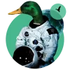 Duck Invaders
