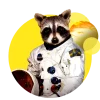 Raccoons of Asgard