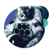 Schizo Cats